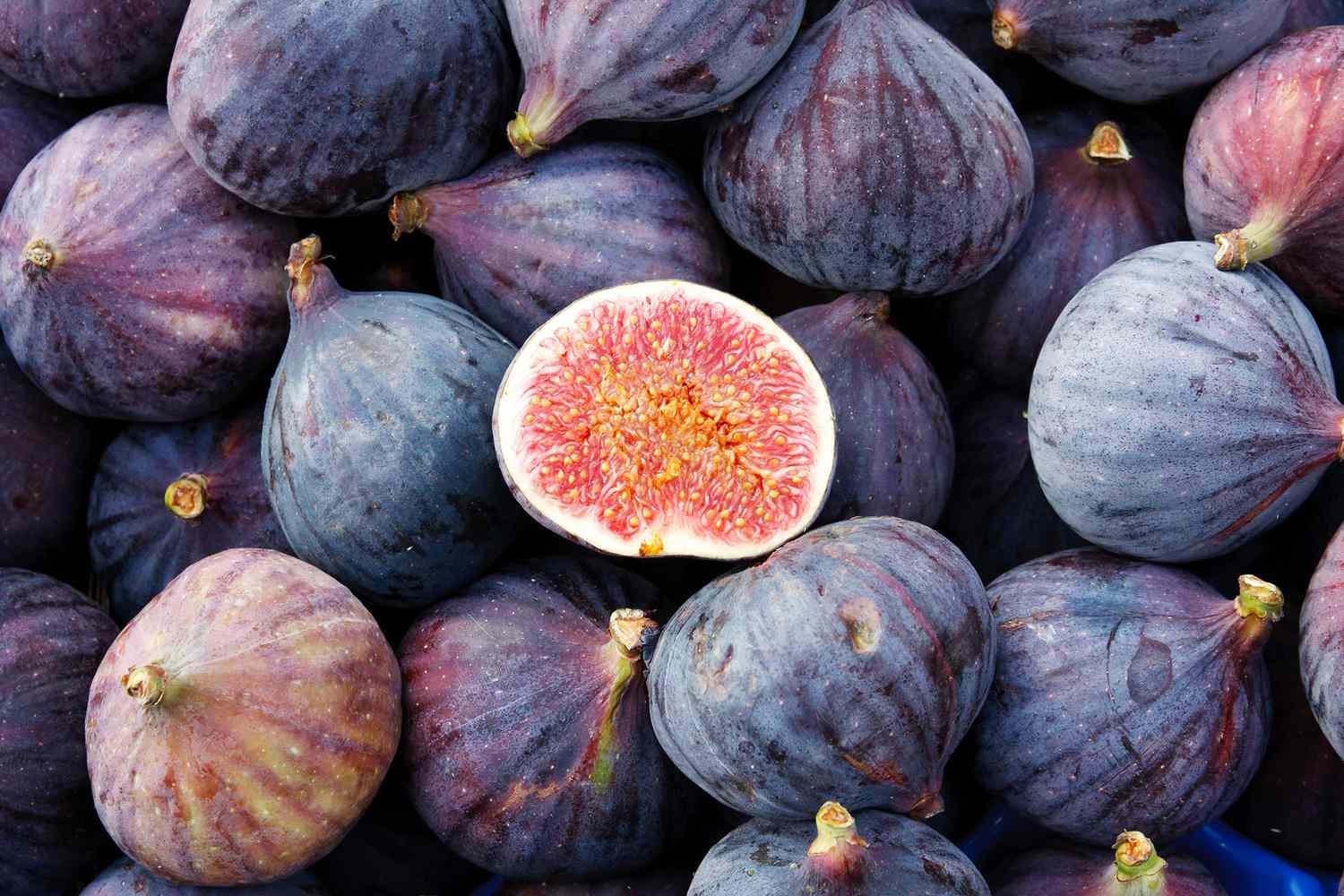 Fig