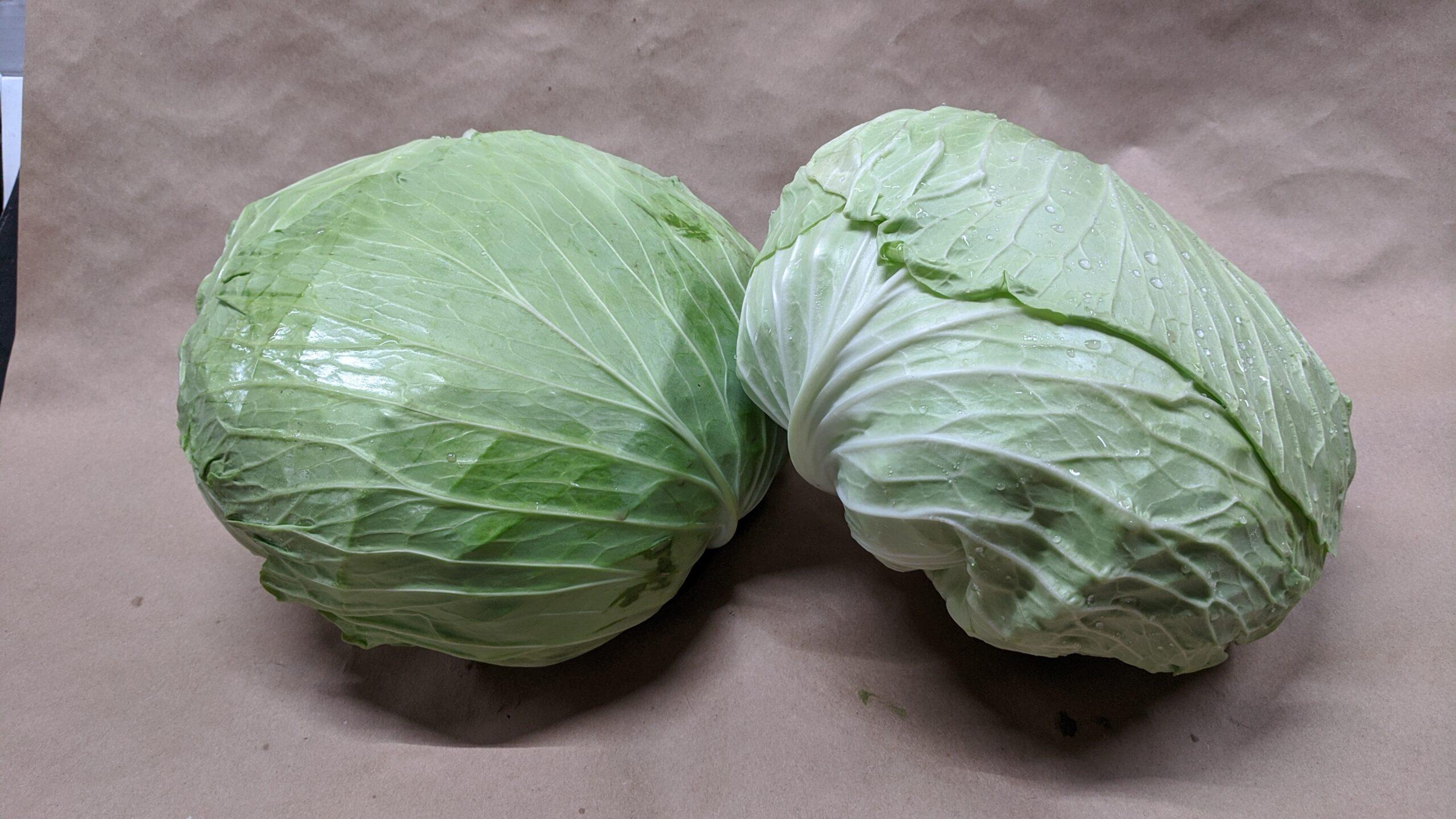 Flat_Cabbage