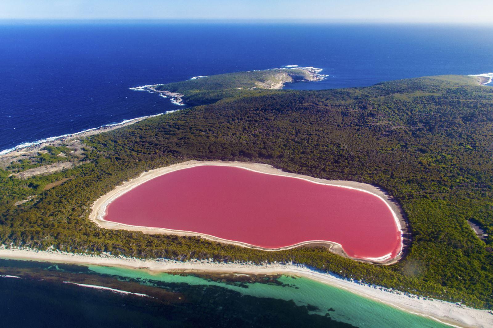 Lac_Rose_-_Senegals_Enchanting_Pink_Lake