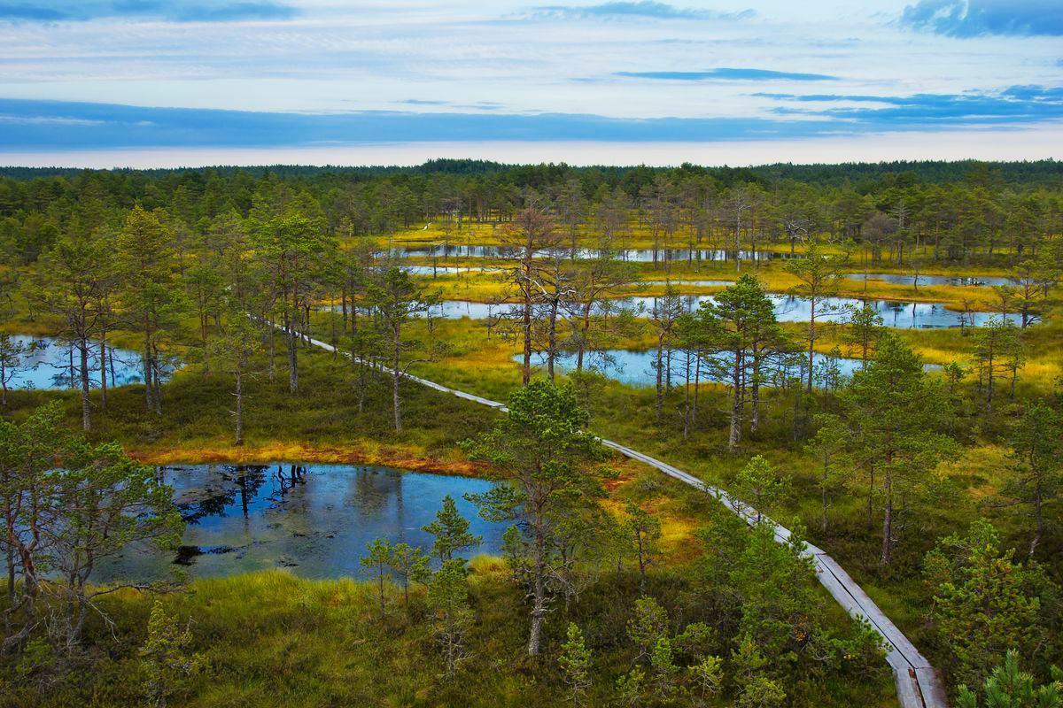 Lahemaa_National_Park_-_Estonias_Coastal_Gem