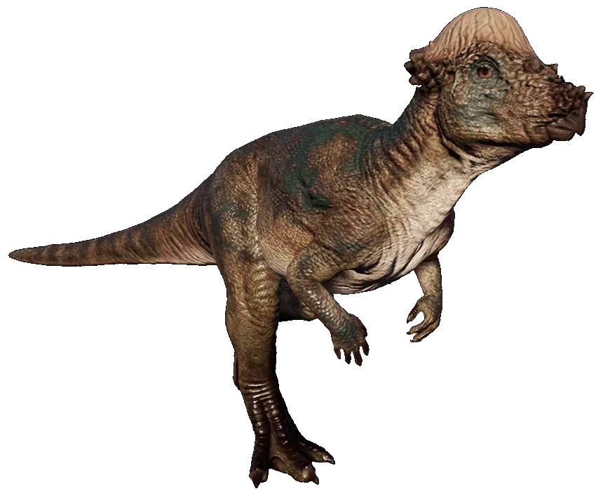 Plants_to_Animals_that_Starts_with_P_Pachycephalosaurus