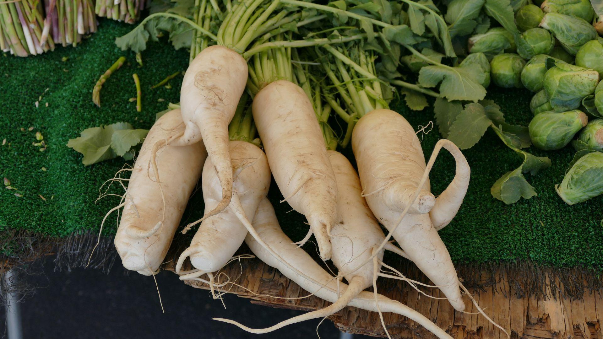 Plants_to_Animals_that_Starts_with_P_Parsnip