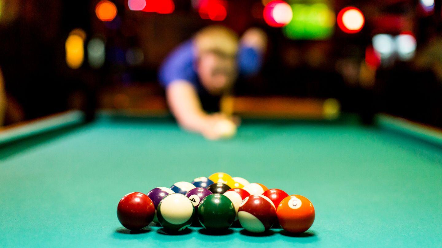 Plants_to_Animals_that_Starts_with_P_Pool_cue