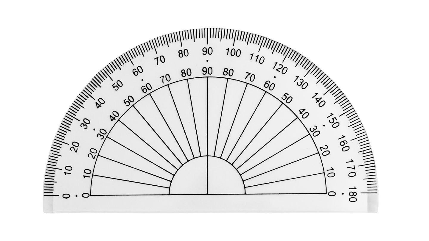 Plants_to_Animals_that_Starts_with_P_Protractor