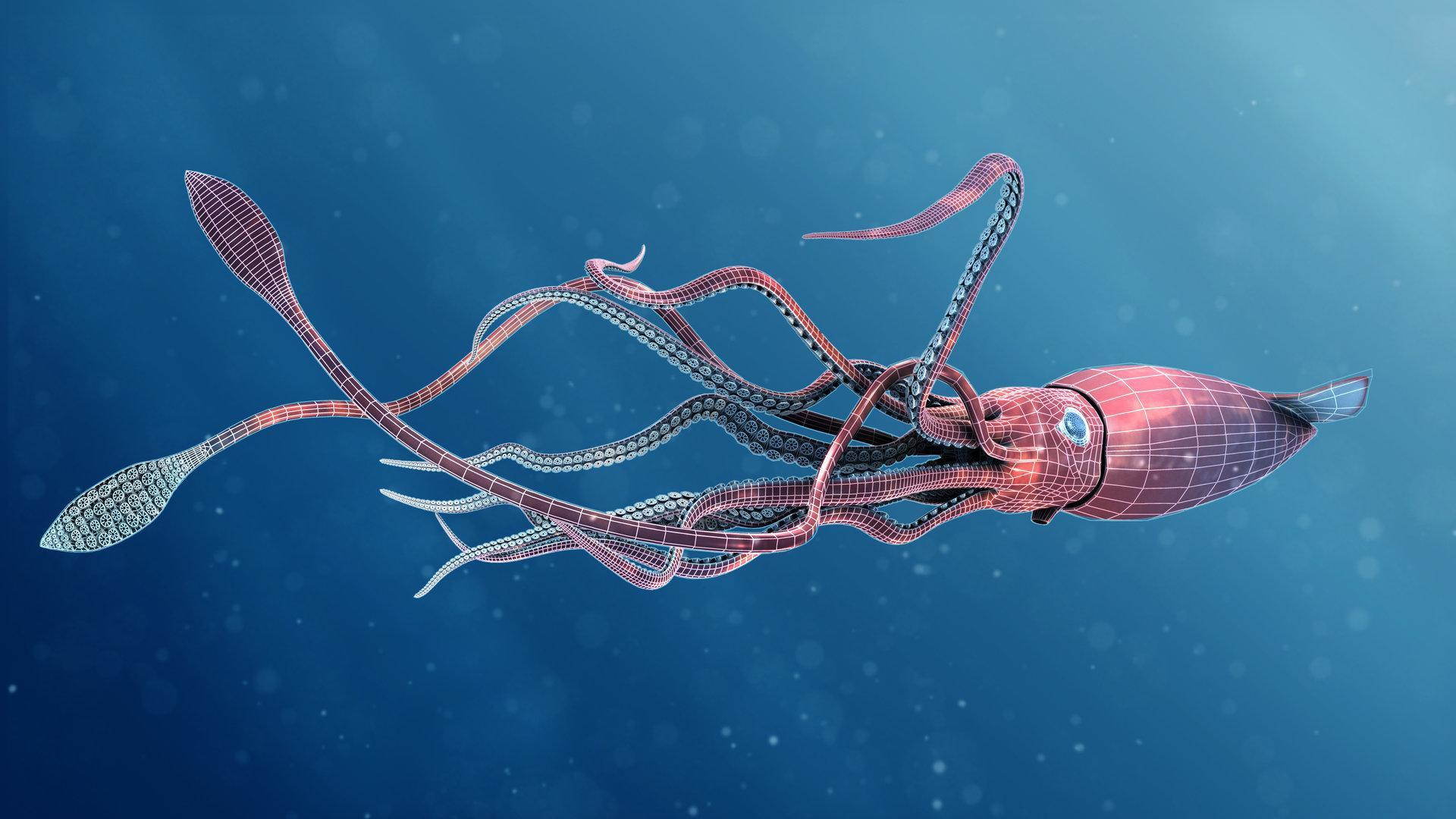 Colossal_Squid