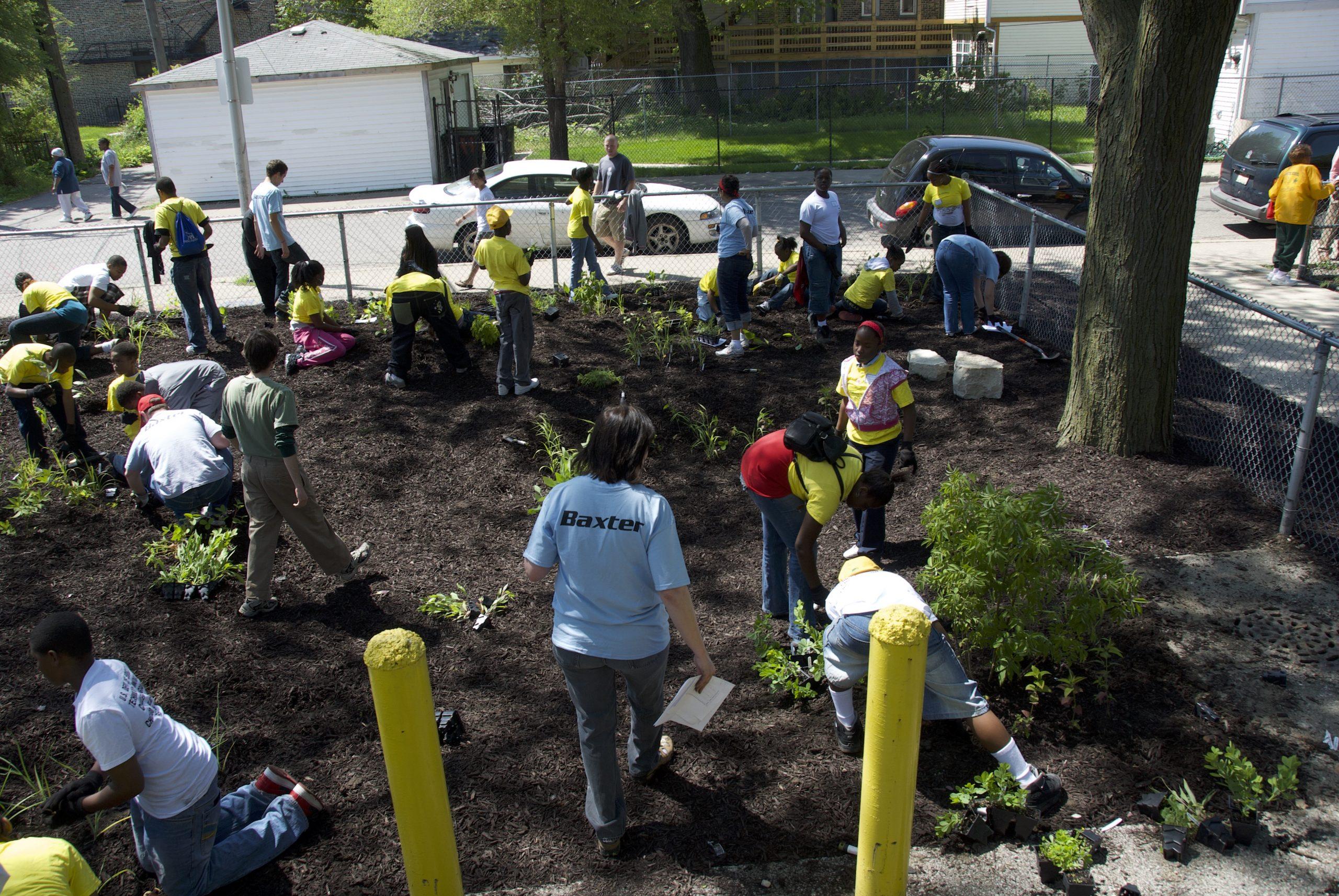 Engage_in_Reforestation