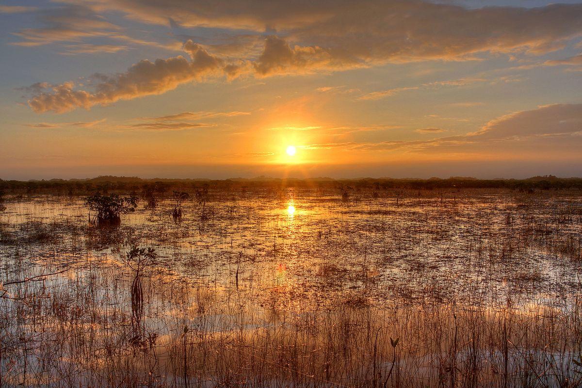 Everglades_National_Park_USA