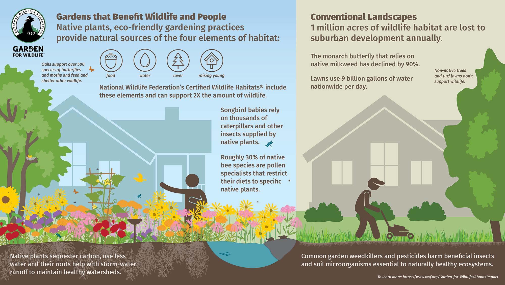 Exercise_Sustainable_Landscaping