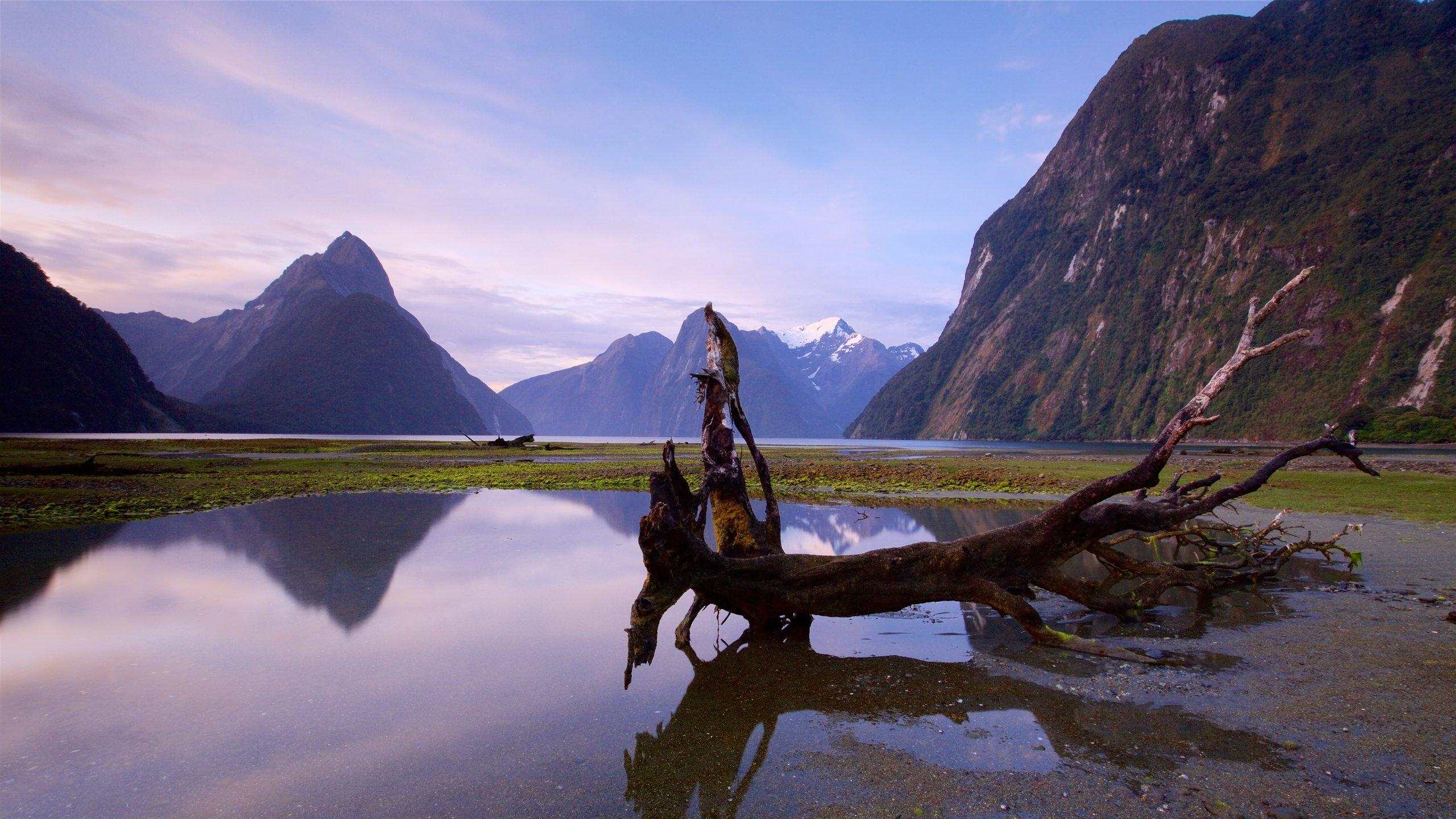 Fiordland_National_Park_New_Zealand