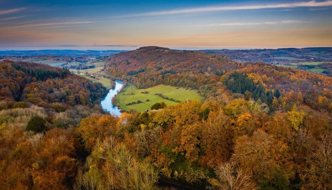 Forest_of_Dean_Gloucestershire_UK