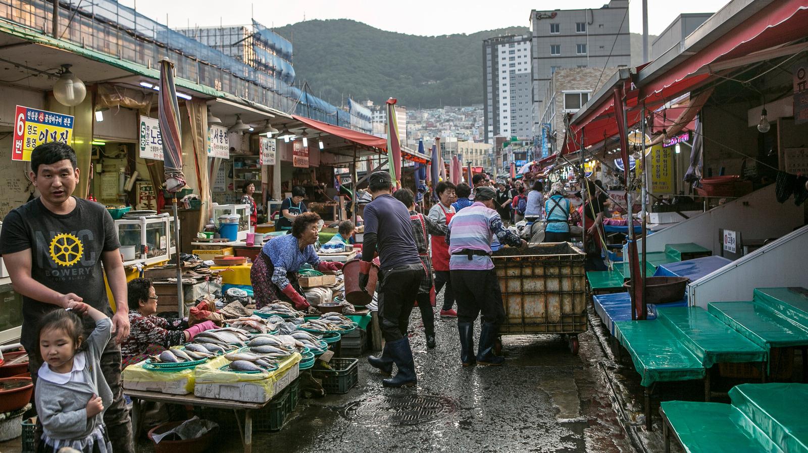 Jagalchi_Market_Busan_South_Korea