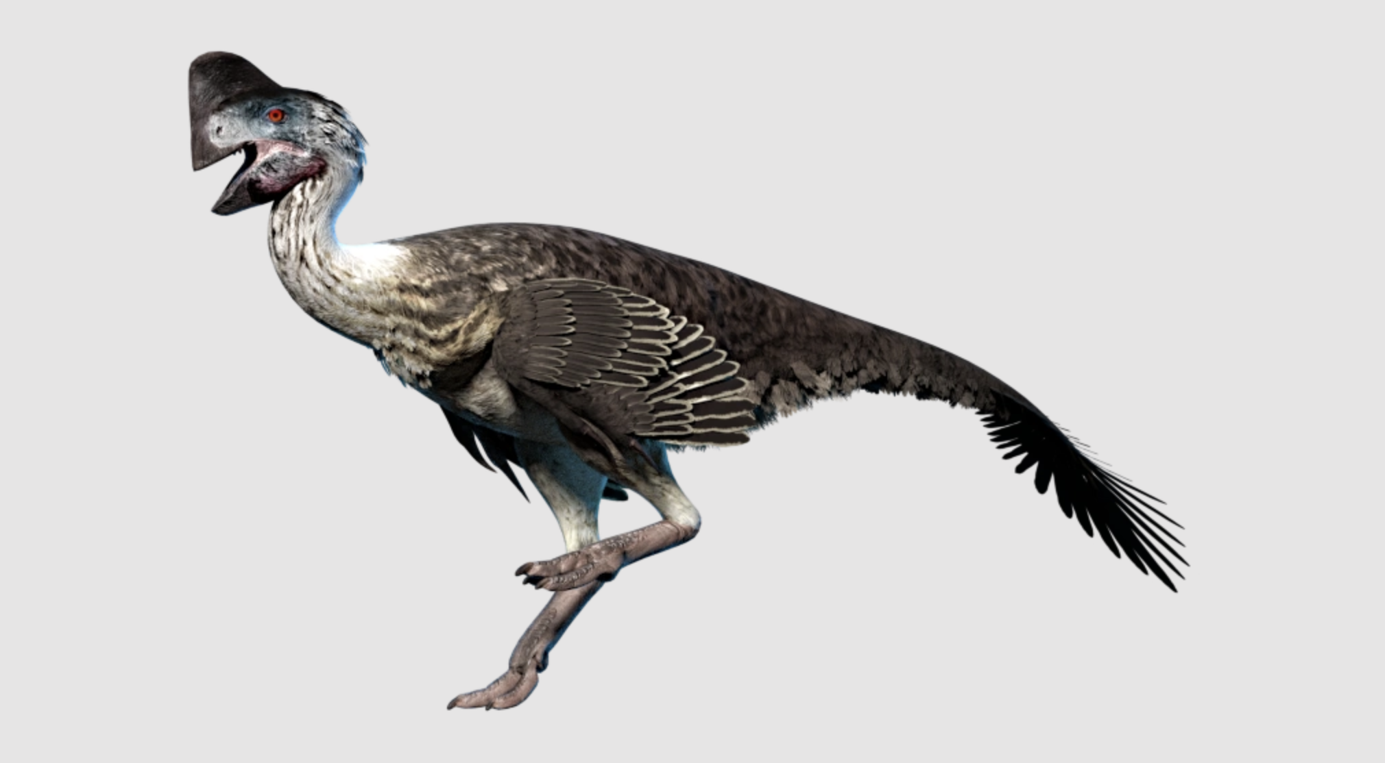 Oviraptor