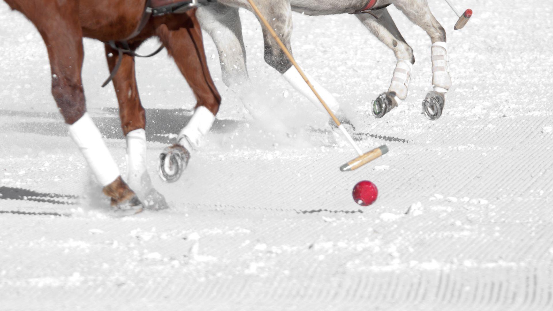 Snow_Polo