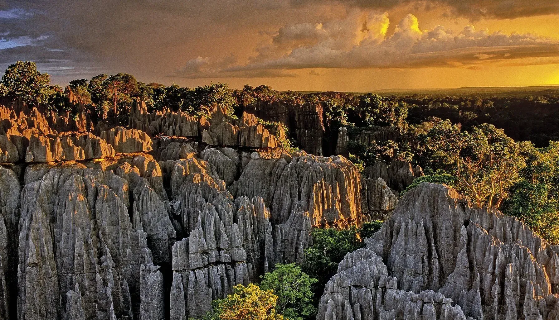 Tsingy_de_Bemaraha_Madagascar