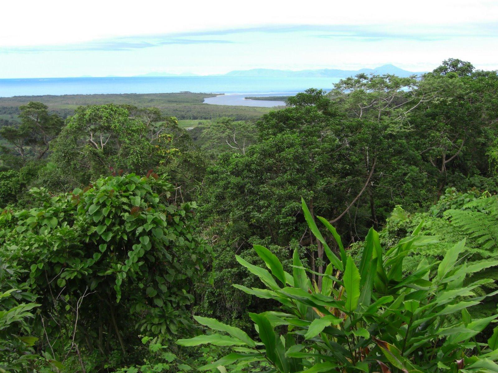 Wet_Tropics_of_Queensland_Australia