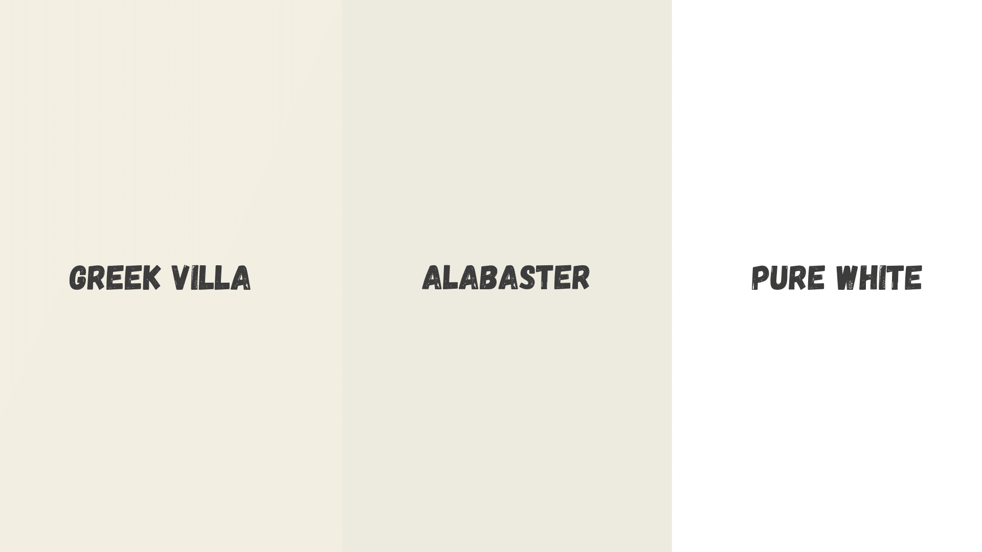 Comparing_Westhighland_White_with_Other_Popular_Whites