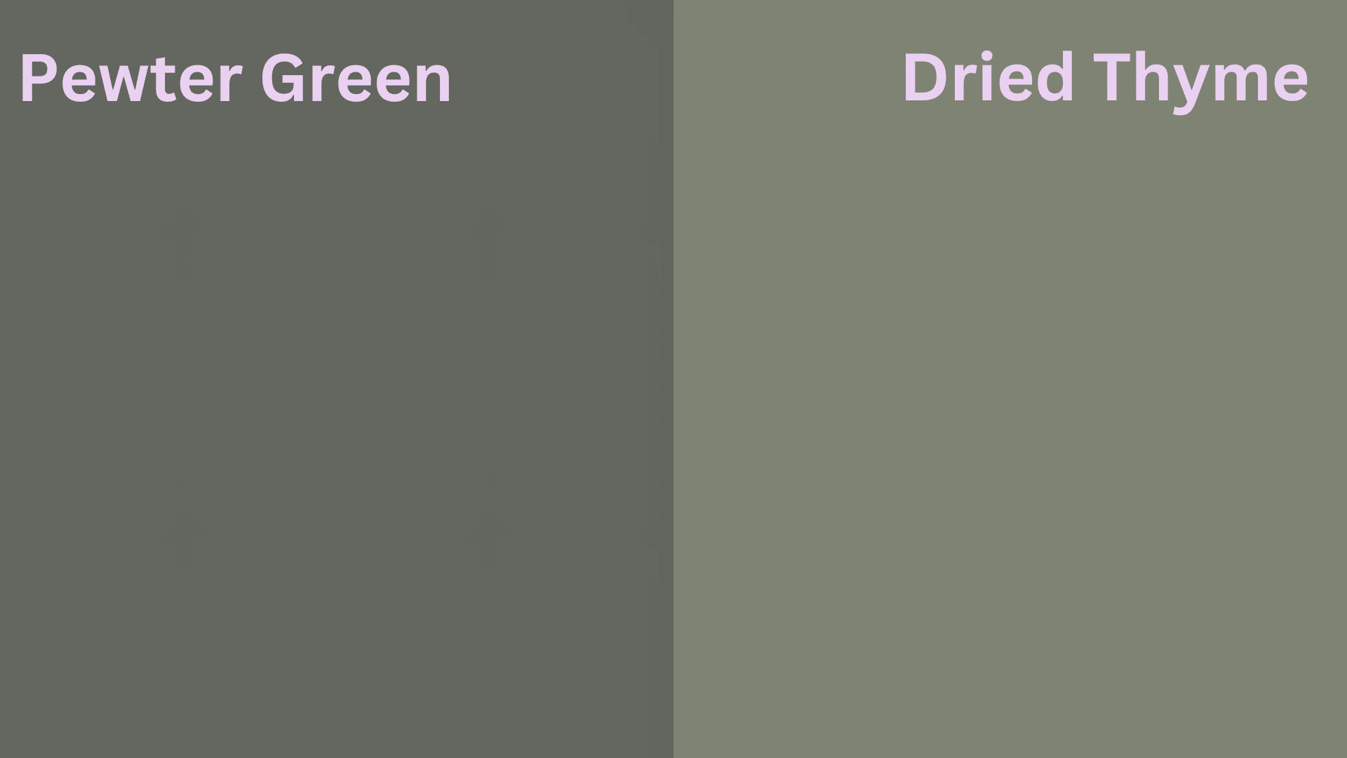 Pewter_Green_vs_Dried_Thyme