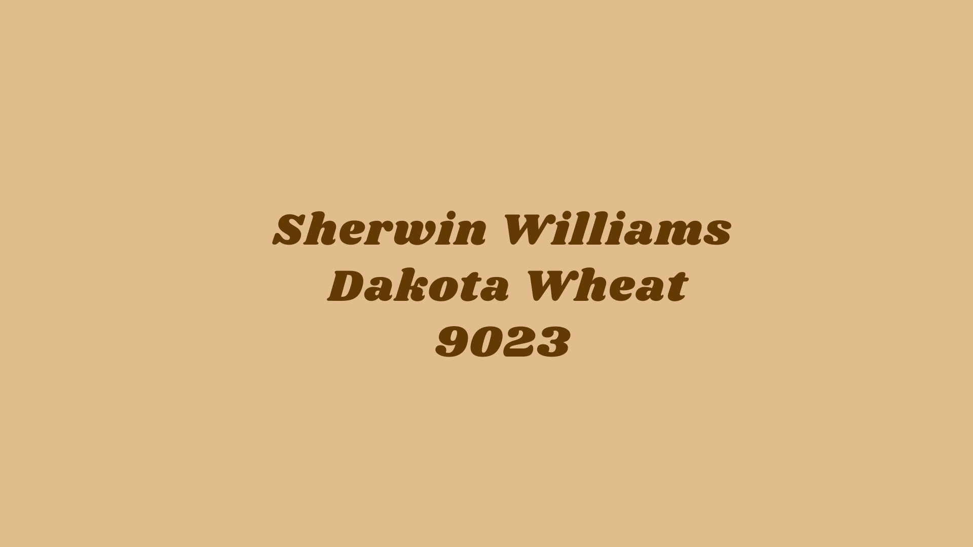 SW_9023_Dakota_Wheat