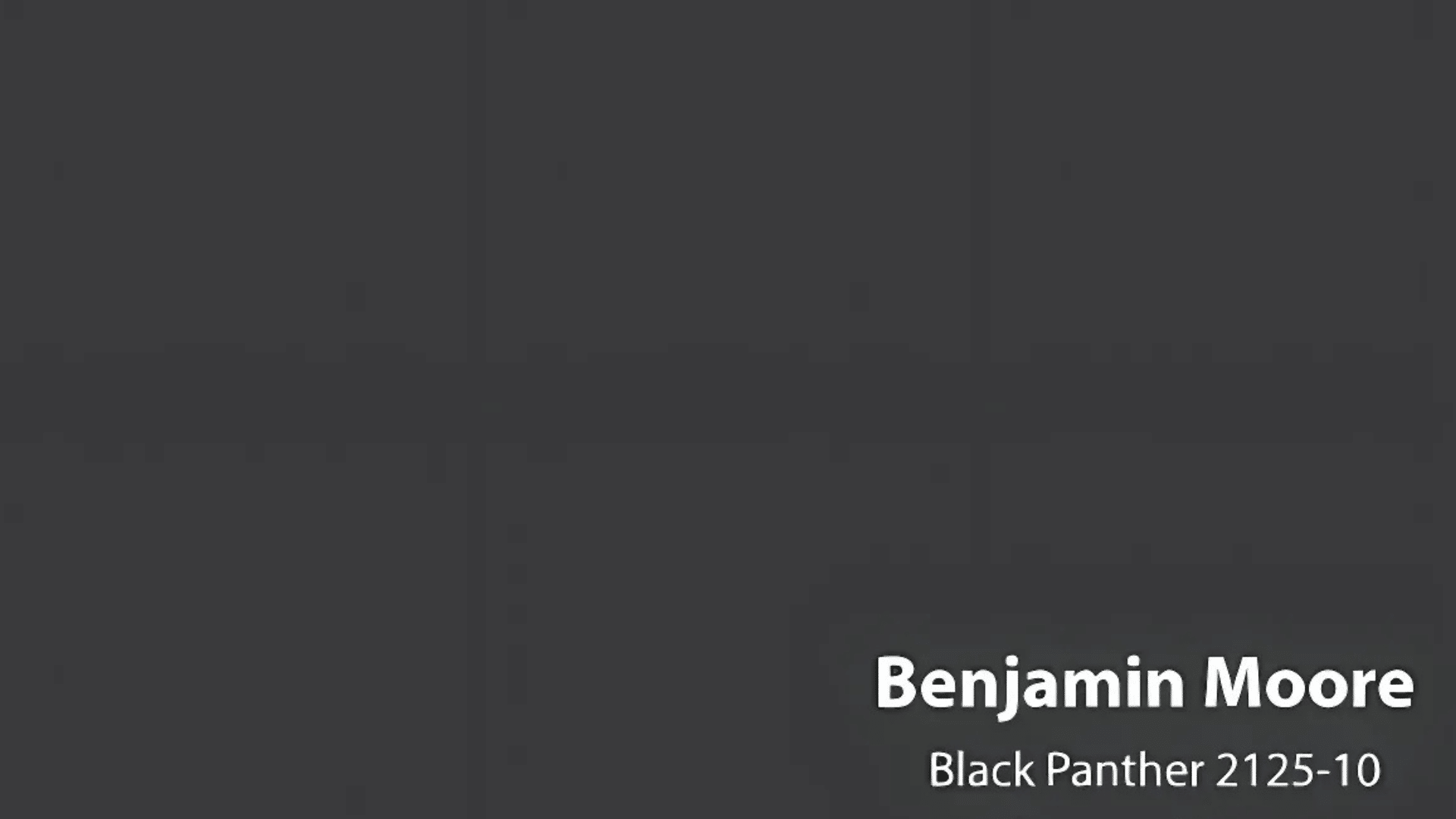 Black_Panther_by_Benjamin_Moore