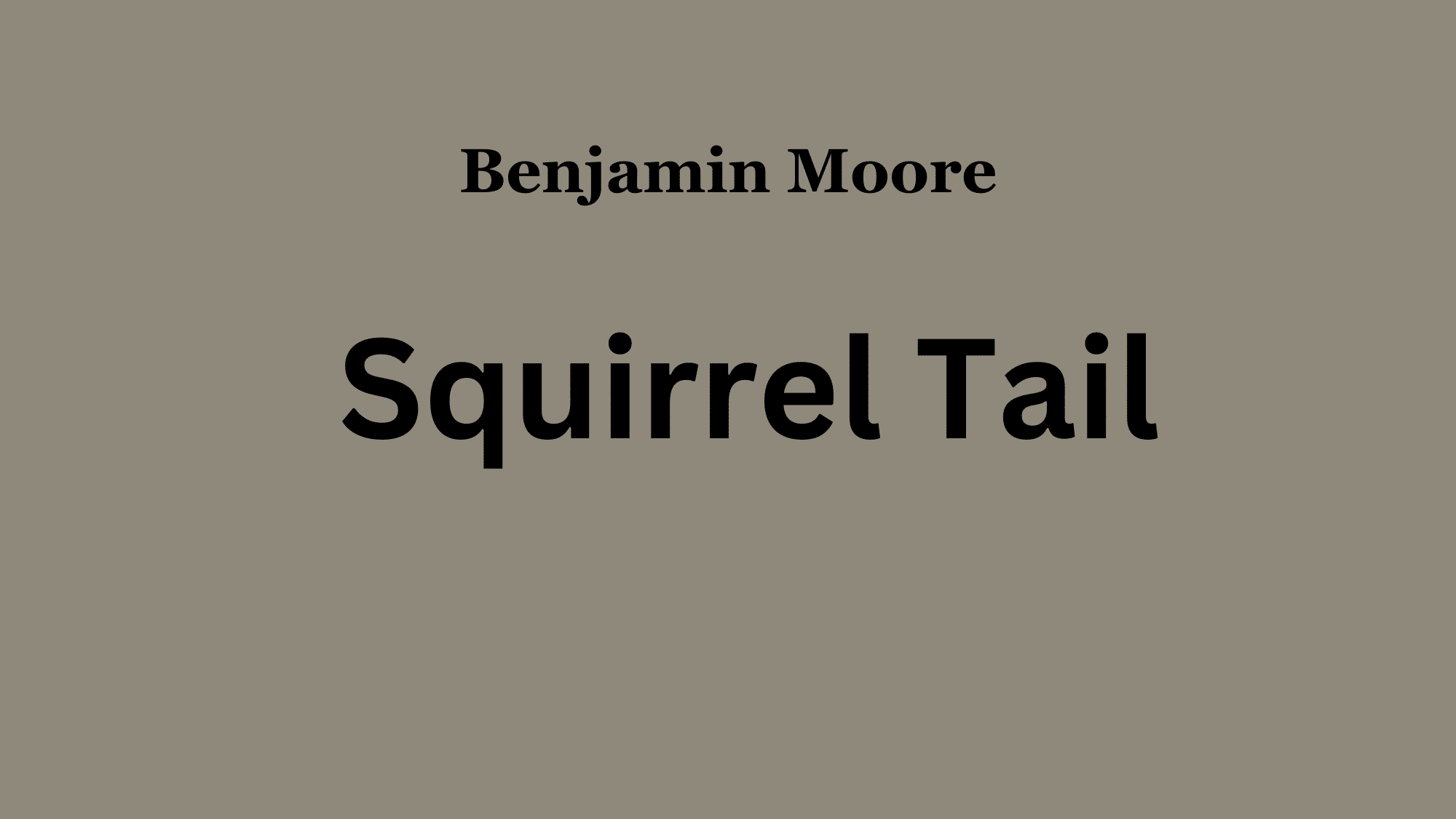 Squirrel_Tail_Benjamin_Moore