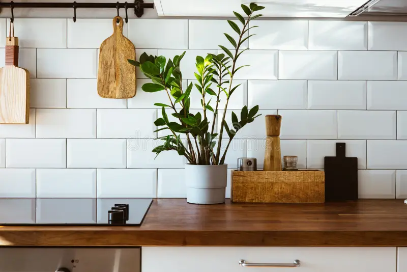 Green Plants and White Subway Tile