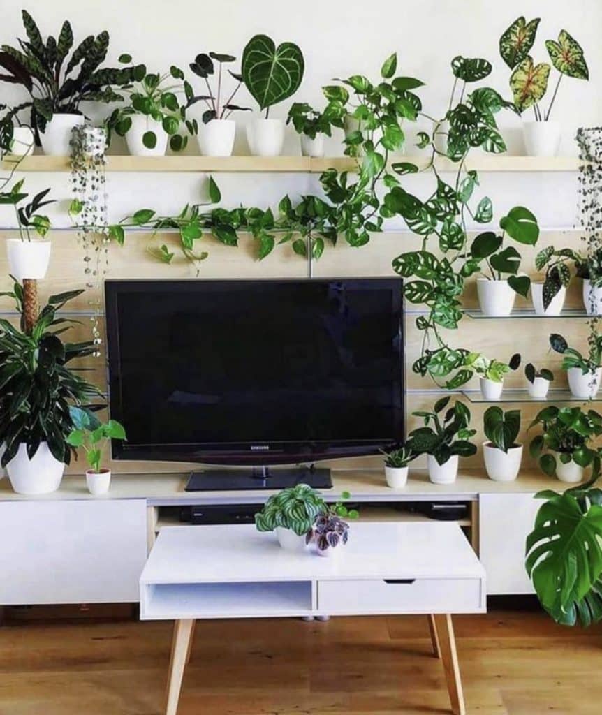 Greenery on the TV Stand