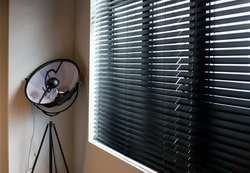 The Black Plush Types of Blinds