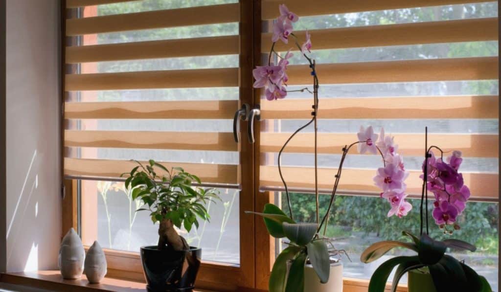 Translucent Blinds for Privacy