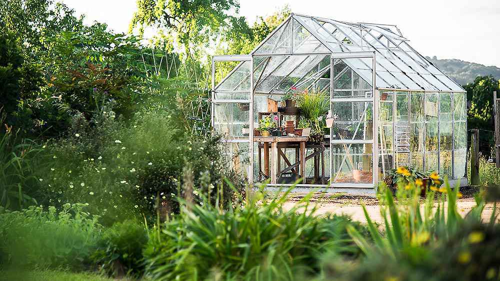 Use Greenhouse Blinds to Control Temperature
