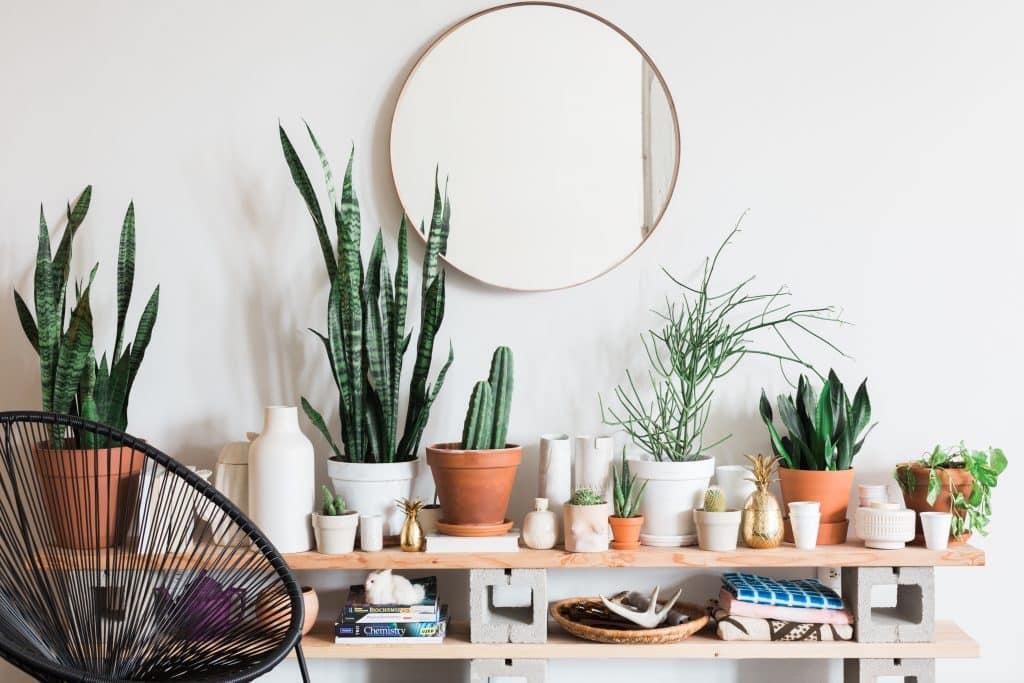 Utilize a mirror to display other decorative pieces
