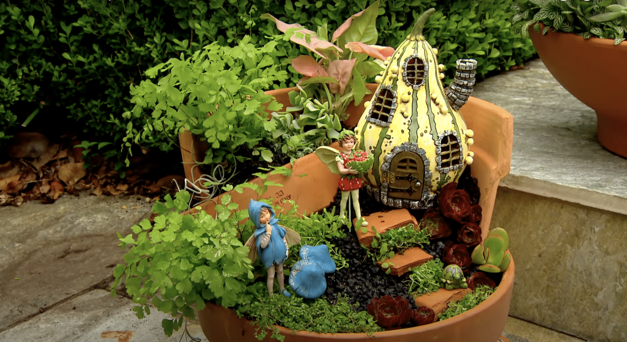 Fairy Garden Creation