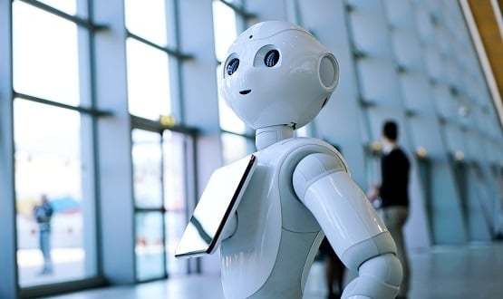 Social Robots