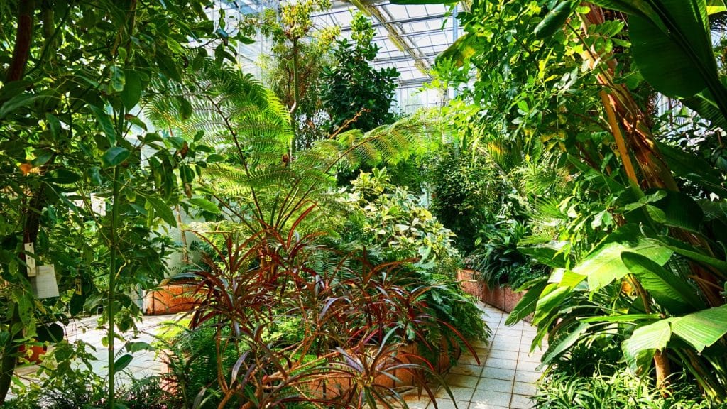 Botany