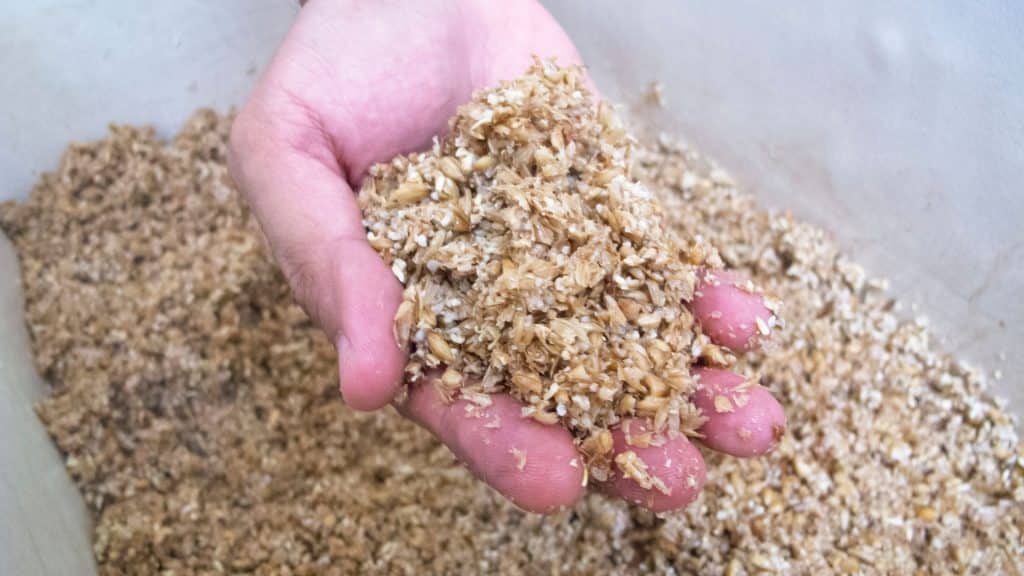 Brewing (Homebrewing)