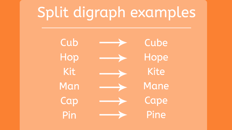 Split Digraphs