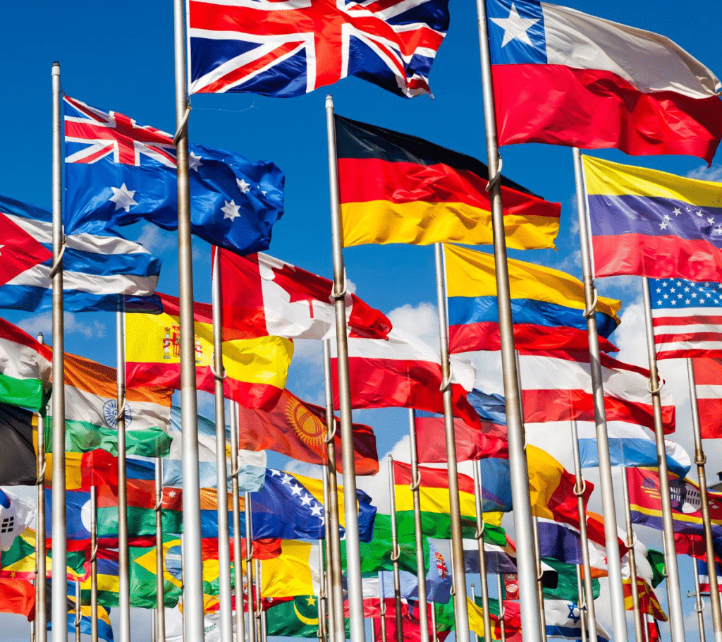 Vexillography