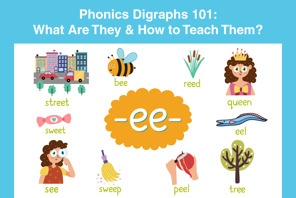 Fundamentals of Digraphs