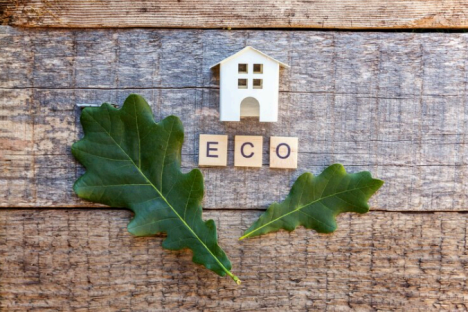 10 Ways to Create an Eco-Friendly Rental Property