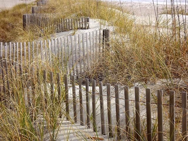 Free Grasses Fence photo and picture