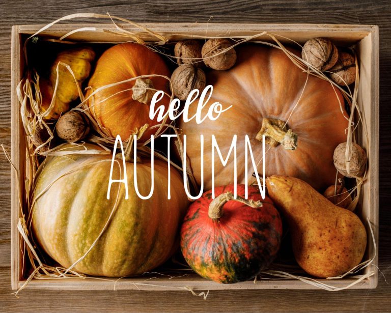 Pumpkins and walnuts in box