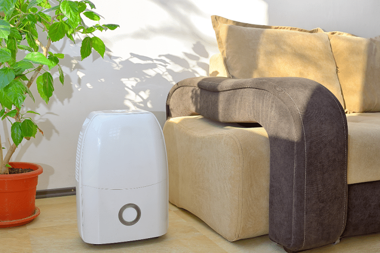 How to Choose the Right Size Dehumidifier for Your Space