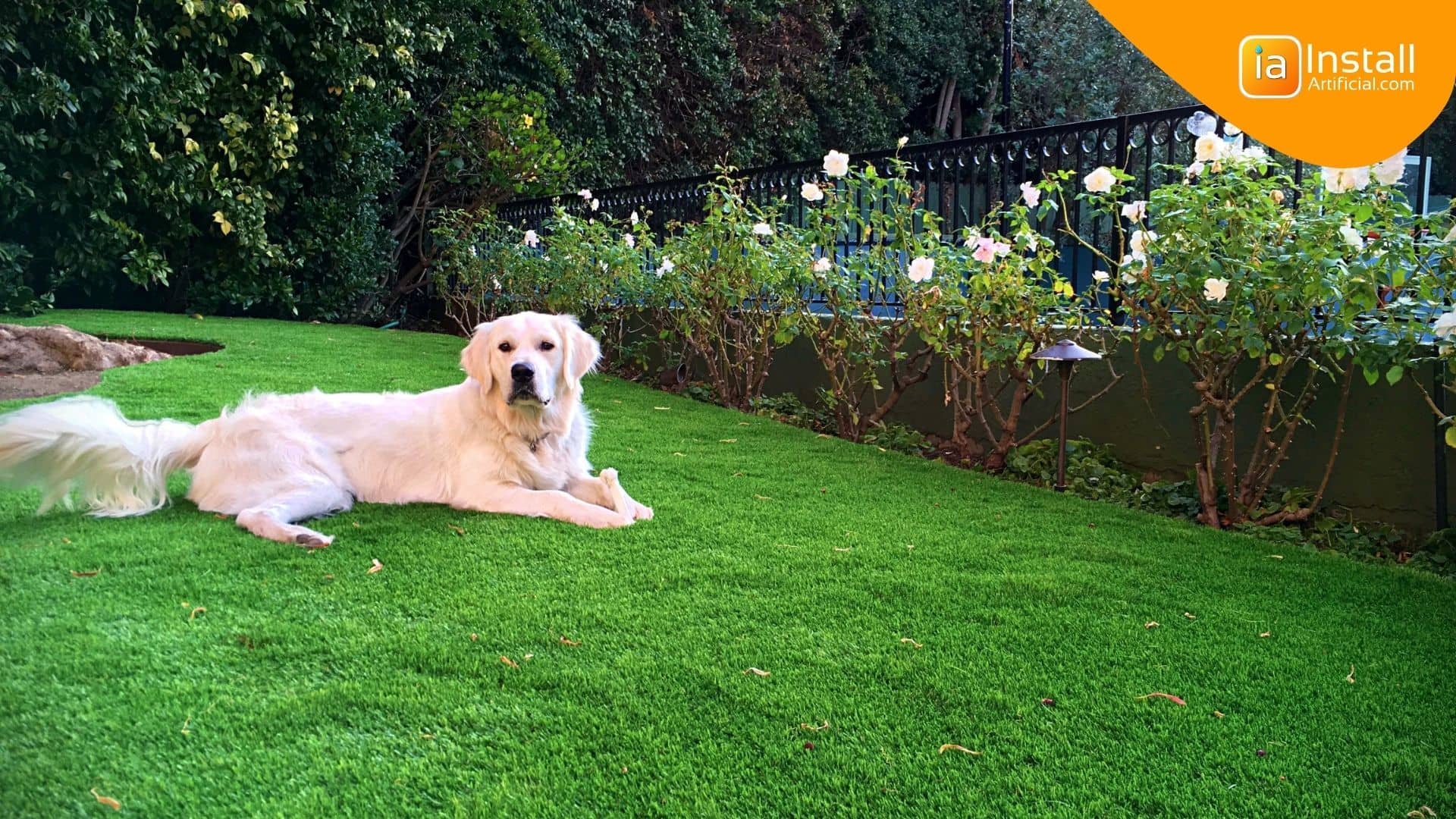 Is Artificial Grass Safe for Pets