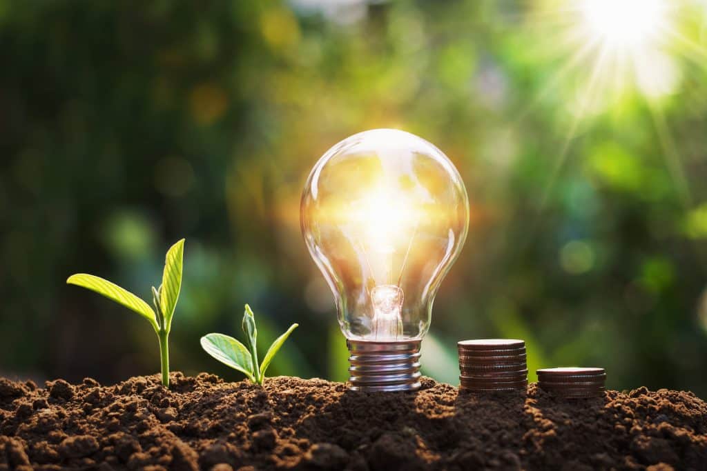 lightbulb with tree and coins on soil sunshine background concept saving energy and finance