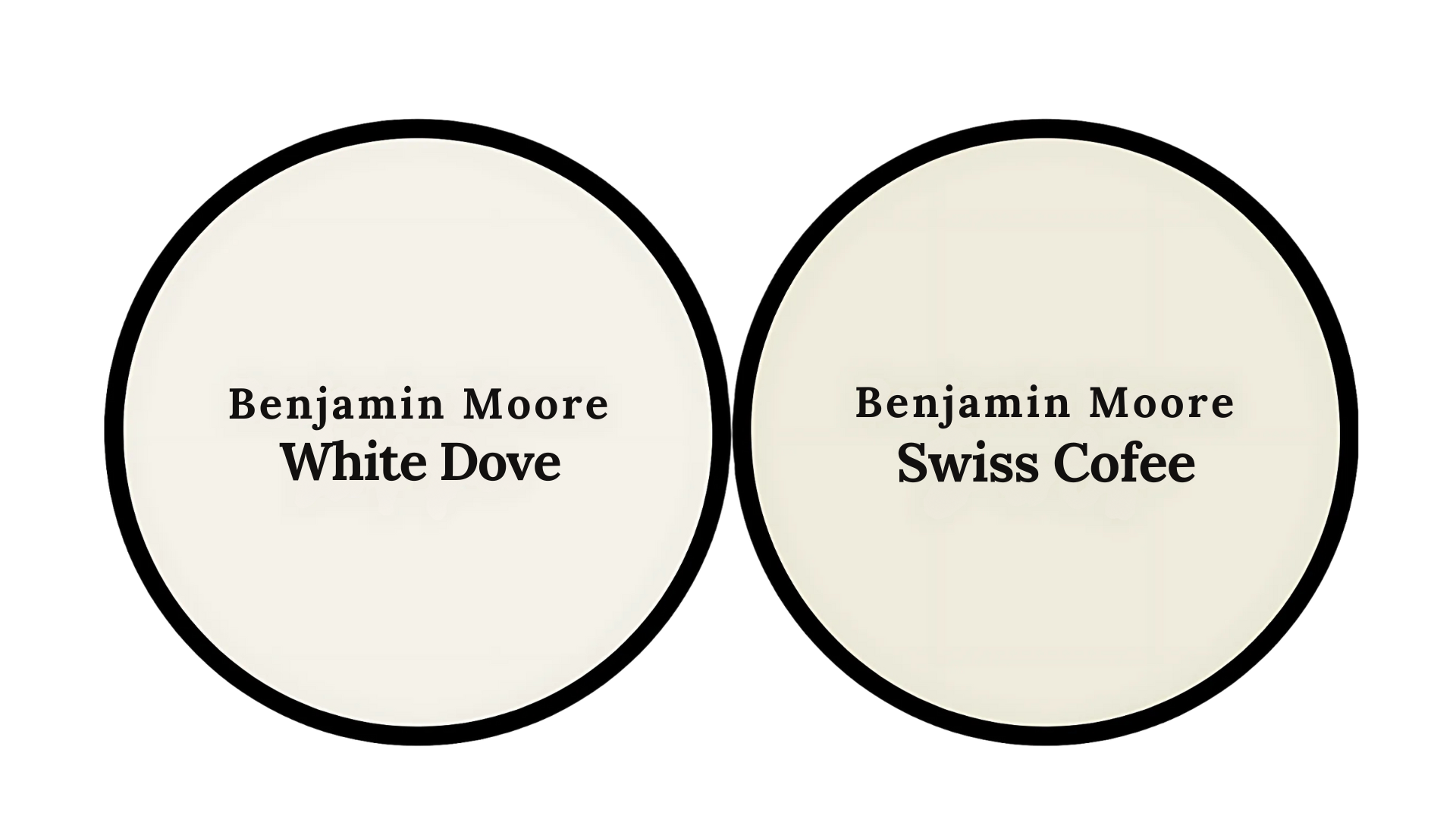 white dove vs swiss coffee