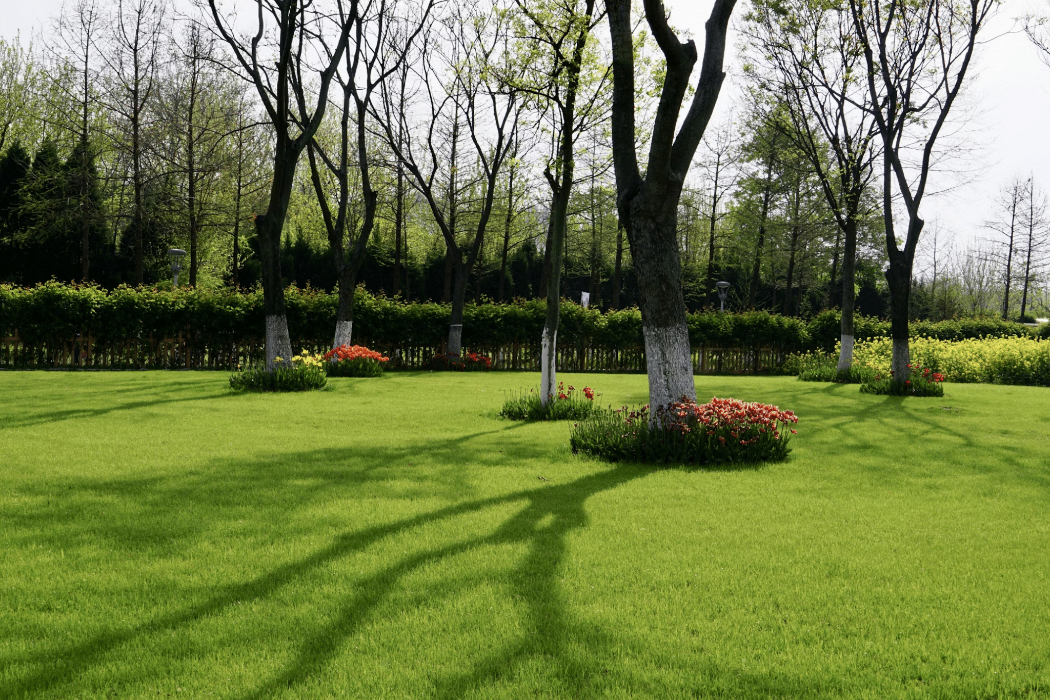 Sustainable Landscape Design Principles: A Concise Guide
