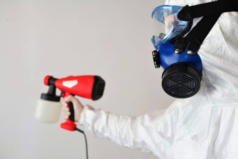 DIY Home Care: How Professional Mold Testing Protects Your Family