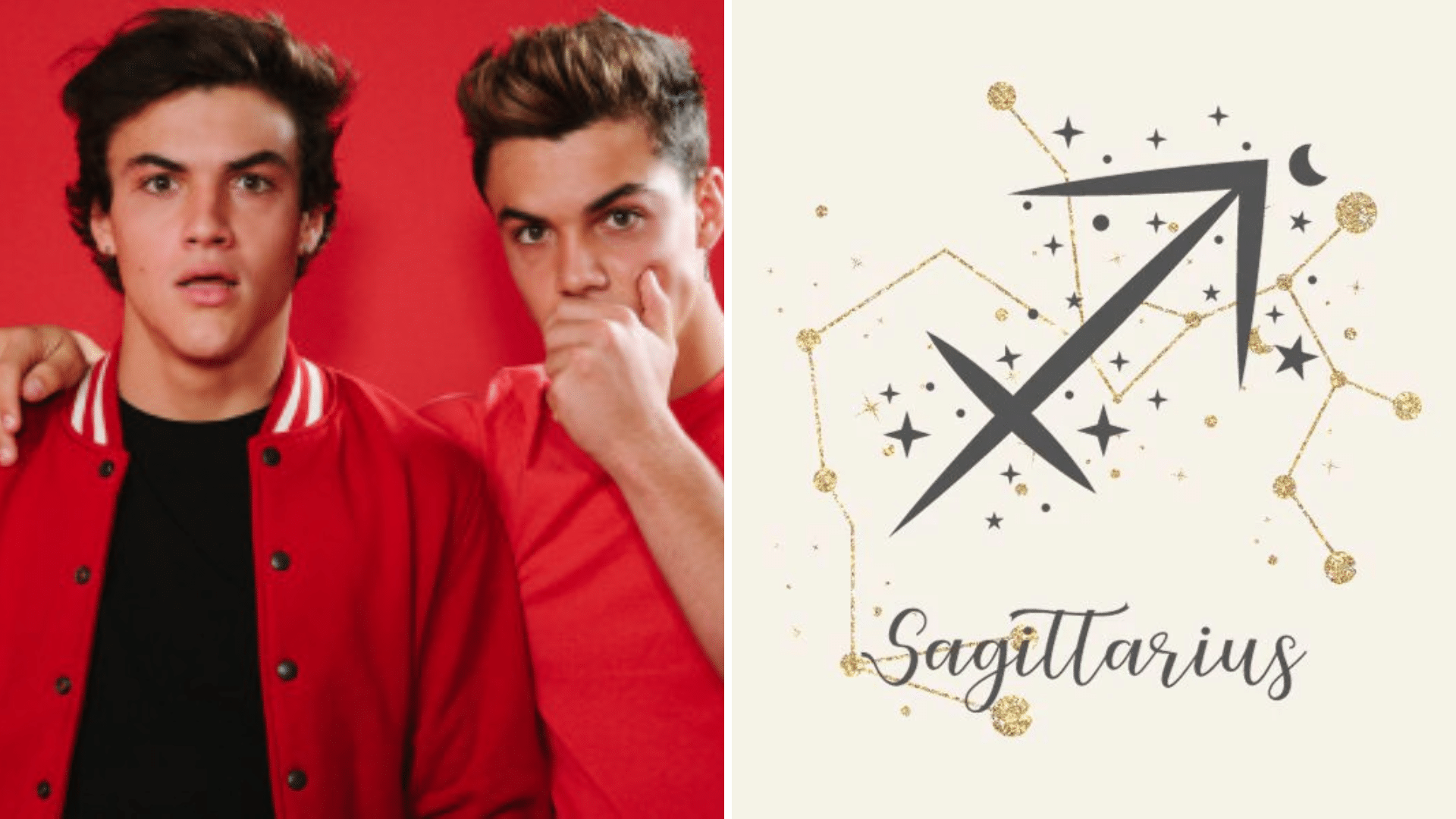 Dolan Twins' Zodiac Sign and What It Reveals About Them
