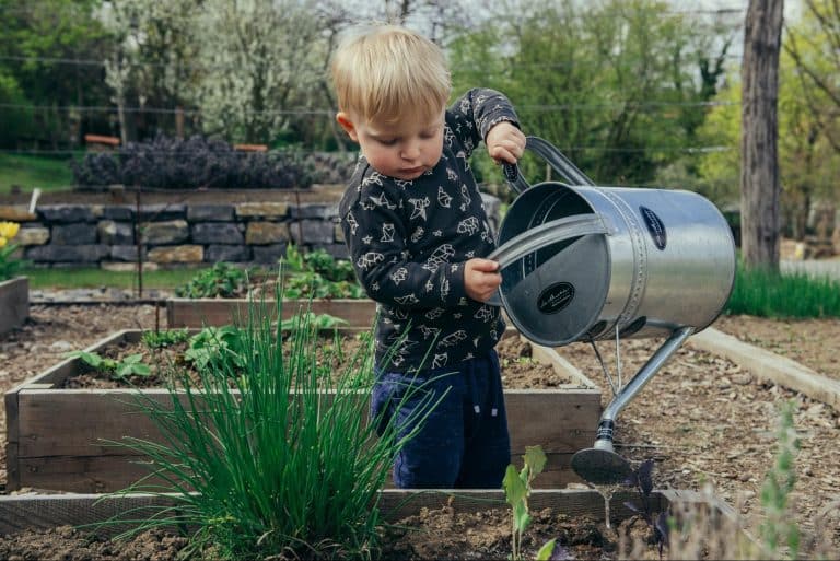 Creating a Sustainable Garden Using Landscaping Wisdom
