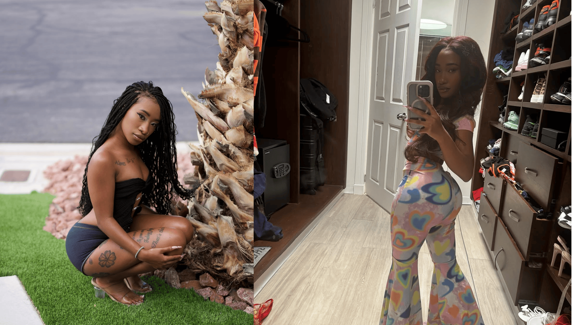 The_Impact_of_Mini_Stallions_Height_on_Her_Career