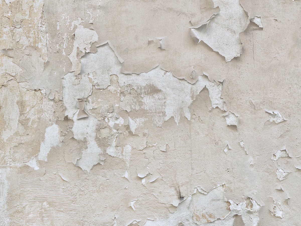 How Water Damage Affects Home Insurance and Property Valuation